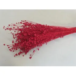 LINUM (FLAX) RED +/-50GR BOPP/kraft Small packaging