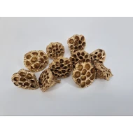 LOTUS MEDIUM GOUD 10ST