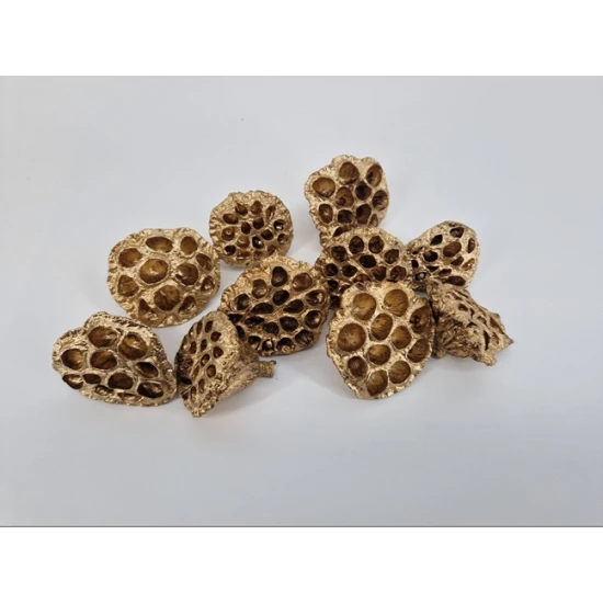 LOTUS MEDIUM GOUD 10ST