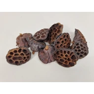 LOTUS MEDIUM NATUREL 10ST