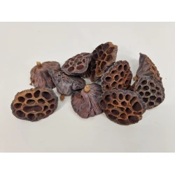 LOTUS MEDIUM NATURAL 50PCS