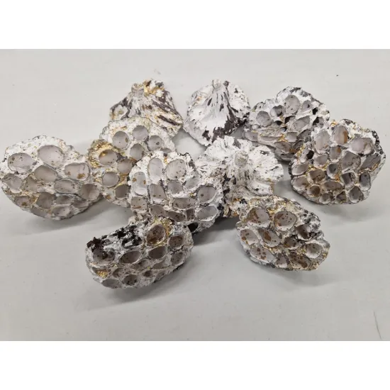 LOTUS MEDIUM WHITE WASH / TOUCH OF GOLD 50ST