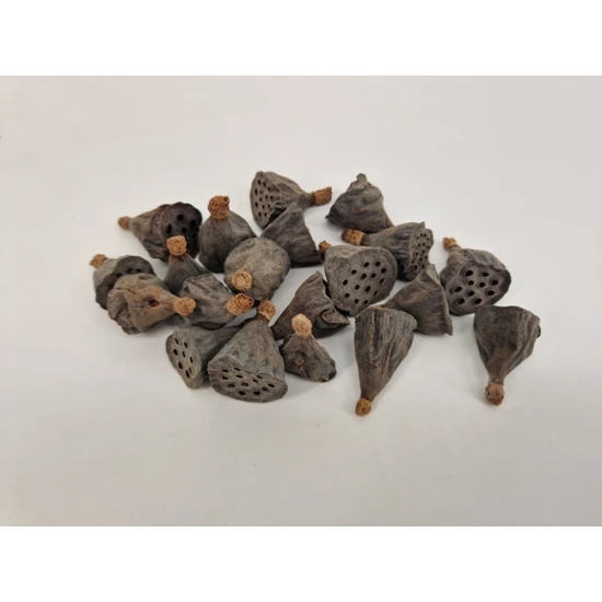 LOTUS MINI NATURAL 100PCS