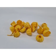 LOOFAH SPIKY HALF YELLOW 20PCS