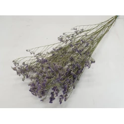 LIMONIUM PURPLE NATURAL 1/2 BOPP/kraft Small packaging