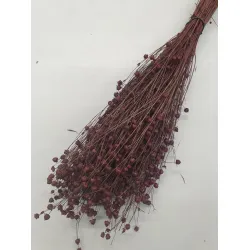 LINUM (FLAX) PRUNE +/-50GR BOPP/kraft Small packaging