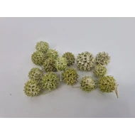 LIQUIDAMBAR (AMBERBAUM) GREEN WASH +/-150GR