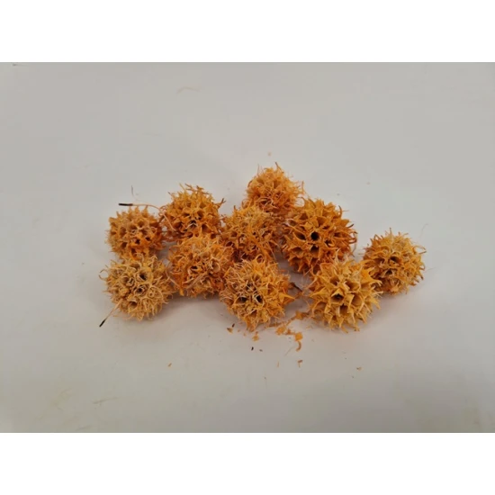 LIQUIDAMBAR (AMBERBAUM) MELOEN +/-150GR