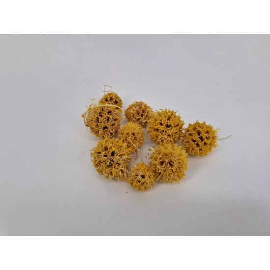 LIQUIDAMBAR (AMBERBAUM) SOFT YELLOW +/-150GR