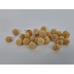LIQUIDAMBAR BLEACHED +/-40GR