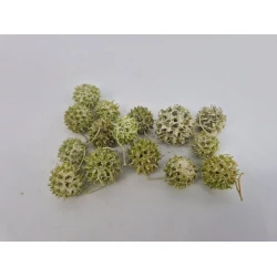 LIQUIDAMBAR GREEN WASHED +/-40GR