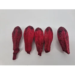 MEHOGNI BORDEAUX 30PCS