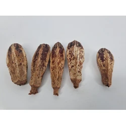 MEHOGNI NATUREL 5PCS