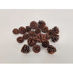 MUGUS NATUREL +/-100GR