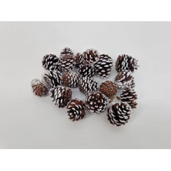 MUGUS WHITE TIPPED +/-500GR