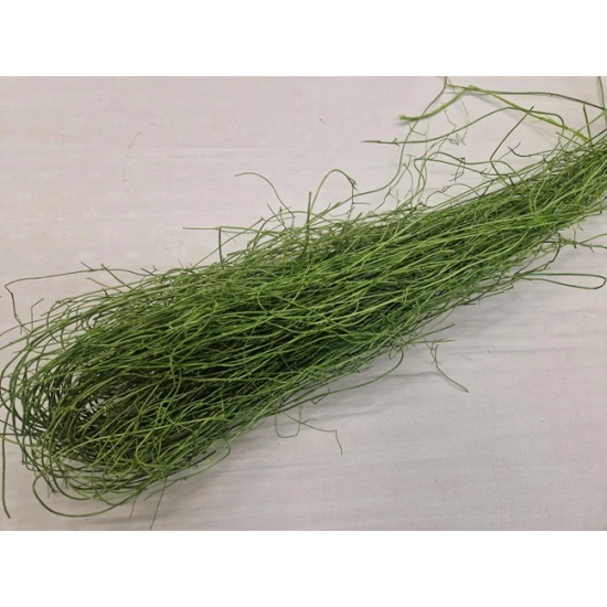 MULLEMBECHIA APPLE GREEN +/-250GR