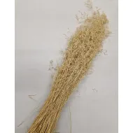 MUNNI GRASS BLEACHED +/-100GR BOPP/kraft Small packaging