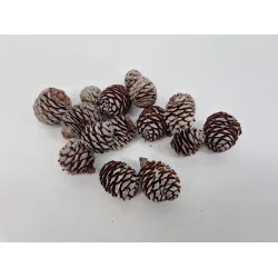 MUIRII NATUREL +/-100GR