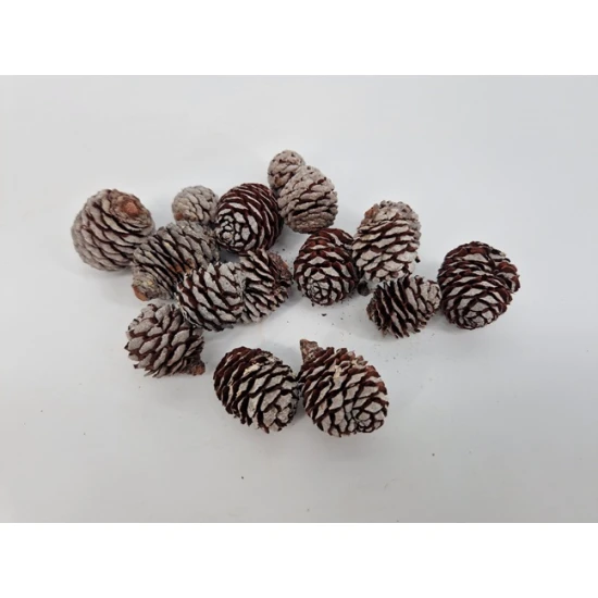 MUIRII NATUREL +/-500GR