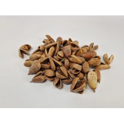 MIKE FRUIT NATURAL +/-50PCS