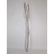 MITSUMATA CHAMPAGNE 3ST