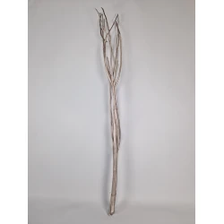 MITSUMATA CHAMPAGNE 3ST