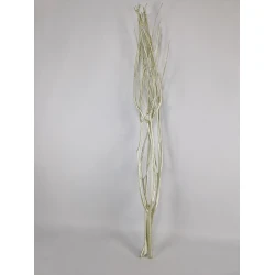 MITSUMATA PEARL SAGE 3ST