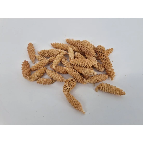 OMORIKA RASPED HEADS BLEACHED