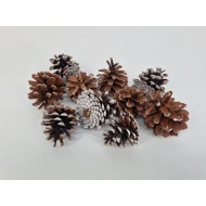 OOSTENRIJKER KOPPEN (AUSTRIACA) WITTE TIP +/-200GR