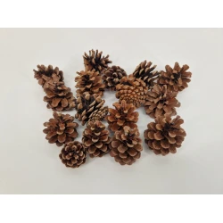 AUSTRIACA HEADS (PINUS NINGRA) NATURAL +/-200GR