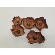 PALM CUP NATUREL 15ST