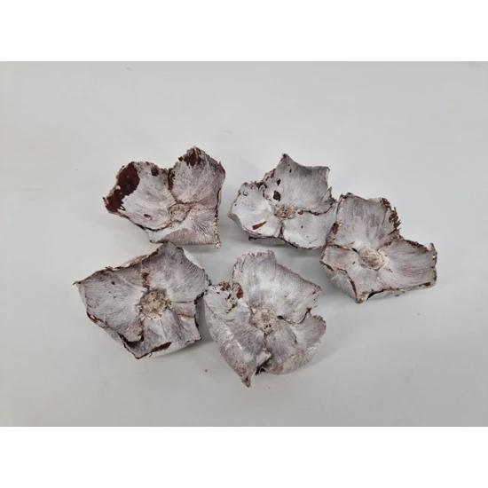 PALM CUP WHITE WASH 15PCS