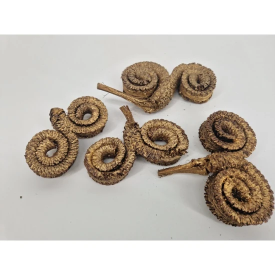 PALM MALE SPECIAL OR 15PCS