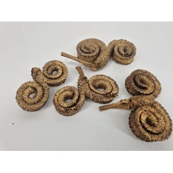 PALM MALE SPECIAL OR 4PCS