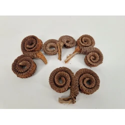 PALM MALE SPECIAL NATURAL 15PCS