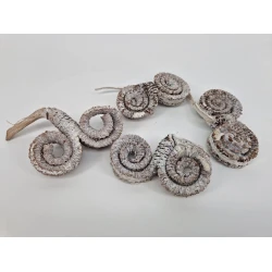 PALM MALE SPECIAL WHITE WASH 4PCS