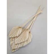 PALM SPEAR GEBLEEKT 5ST BOPP/kraft hobbyverpakking