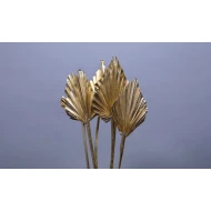 PALM SPEAR GOUD 5ST BOPP/kraft hobbyverpakking