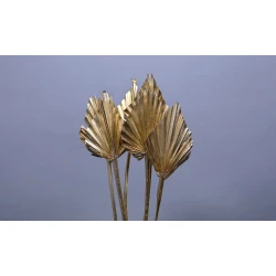 PALM SPEAR GOLD 5PCS BOPP/kraft Small packaging