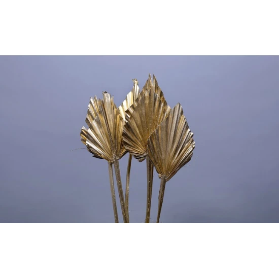PALM SPEAR GOUD 5ST BOPP/kraft