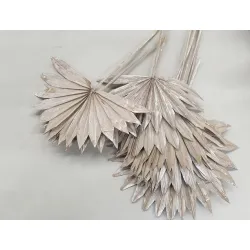 PALM SUN WHITE WASH 5PCS BOPP/kraft Small packaging