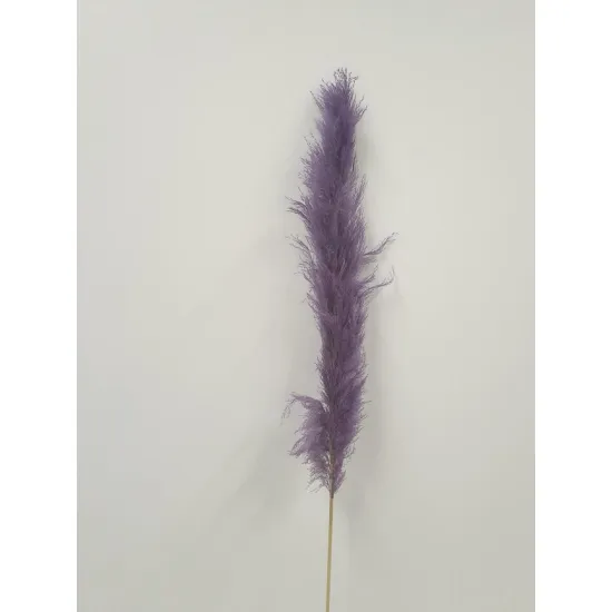 PAMPAS THAI LILA 140CM 3ST