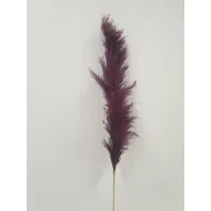 PAMPAS THAI PRUNE 1PC BOPP/kraft Small packaging