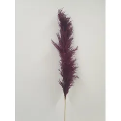 PAMPAS THAI PRUNE 140CM 3PCS