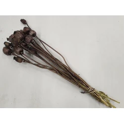 PAVÔT MARRON FONCE 1/2 BOPP/kraft emballage hobby