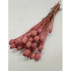 PAVÔT ROSE FONCE 1/2 BOPP/kraft emballage hobby