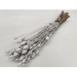 PAVÔT FROSTED WHITE 1/2 BOPP/kraft emballage hobby