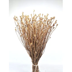 PAVOT MINI NATUREL BOPP/kraft emballage hobby