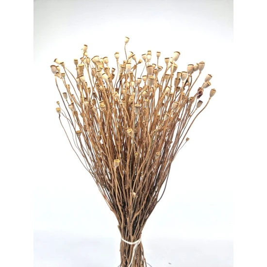 POPPY MINI NATURAL BOPP/kraft Small packaging