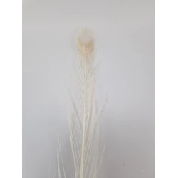 PAUWEVEER 80-100CM GEBLEEKT 1ST